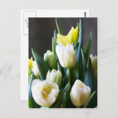 TulpenBriefkaart Briefkaart (Voorkant / Achterkant)