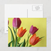 TulpenBriefkaart Briefkaart (Voorkant / Achterkant)