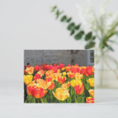 TulpenBriefkaarten Briefkaart (Staand voorkant)