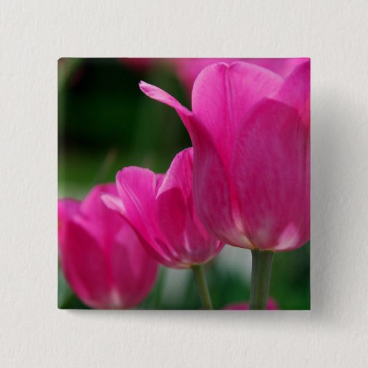 TulpenButton Vierkante Button 5,1 Cm (Voorkant)