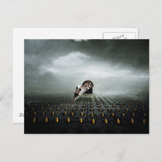 Tulpendief 2 2013 briefkaart (Voorkant / Achterkant)