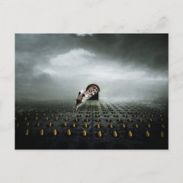 Tulpendief 2 2013 briefkaart