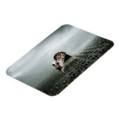 Tulpendief 2 2013 magneet (Linkerzijde)