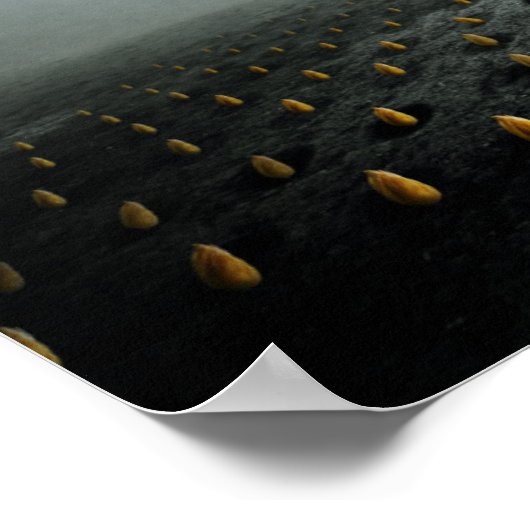 Tulpendief 2 2013 poster (Hoek)