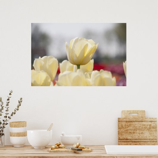 Tulpendoek Poster (Keuken)