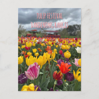 Tulpenfestival, Dandenong, Victoria Briefkaart