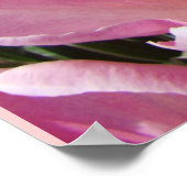Tulpenfestival Woodburn Oregon kunstprints posters (Hoek)