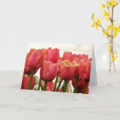 Tulpenfoto | Koraal en goud omzoomd Kaart (Gele Bloem)