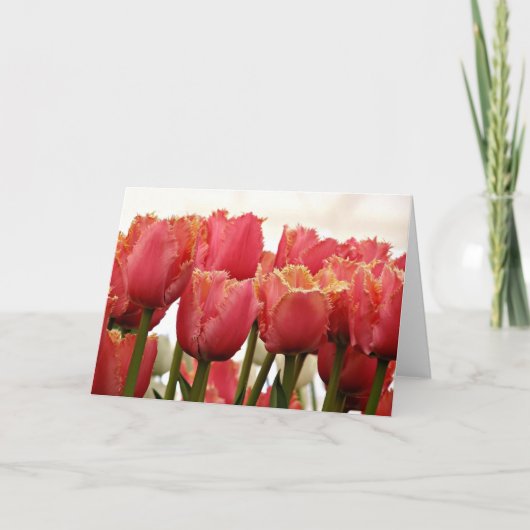 Tulpenfoto | Koraal en goud omzoomd Kaart (Voorkant)