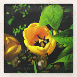 Tulpenglas onderzetter glazen onderzetter