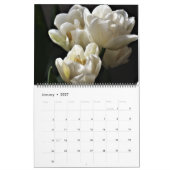 Tulpenkalender in groot formaat kalender (Jan 2027)