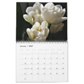 Tulpenkalender Kalender (Jan 2027)