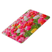 Tulpenmagneet Magneet (Linkerzijde)