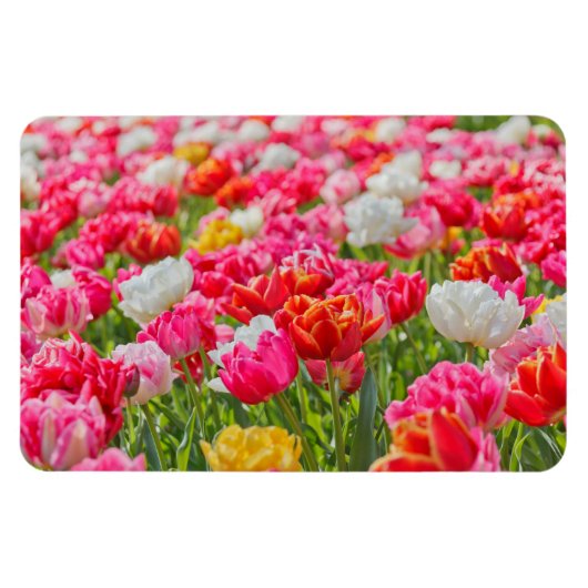 Tulpenmagneet Magneet (Horizontaal)
