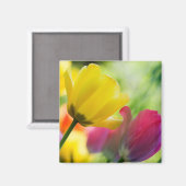 Tulpenmagneet Magneet (Voorkant / Achterkant)