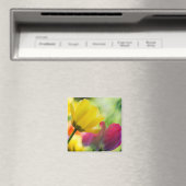 Tulpenmagneet Magneet (Insitu (Vaatwasser))