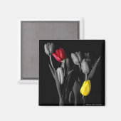 tulpenmagneet magneet (Voorkant / Achterkant)