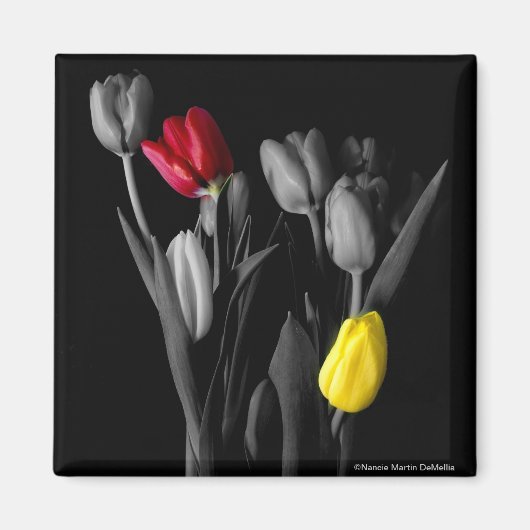 tulpenmagneet magneet (Voorkant)