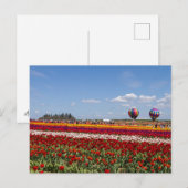 Tulpenmanie Ansichtkaart Briefkaart (Voorkant / Achterkant)