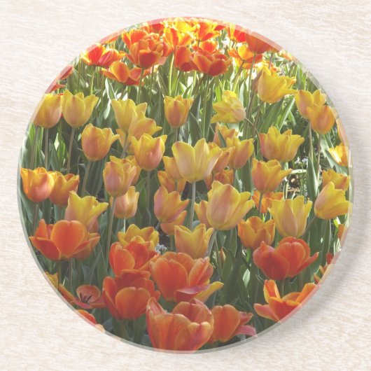 Tulpenonderzetters Zandsteen Onderzetter (Voorkant)