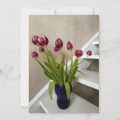 Tulpenpapegaai (Voorkant)