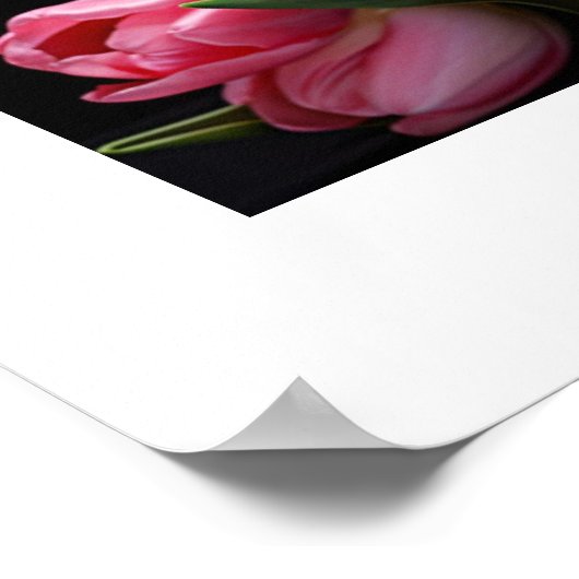 TulpenPoster Poster (Hoek)