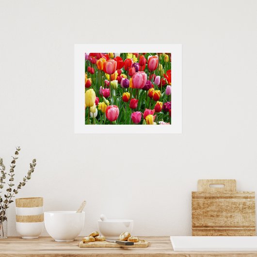 TulpenPoster Poster (Keuken)
