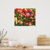 TulpenPoster Poster (Keuken)