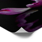 Tulpenpracht in Roze Poster (Hoek)