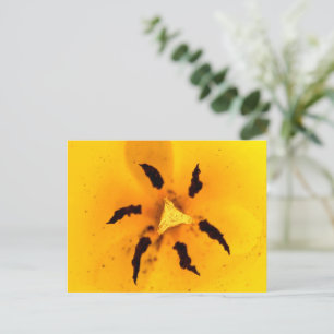 Tulpenstelen en pollen briefkaart