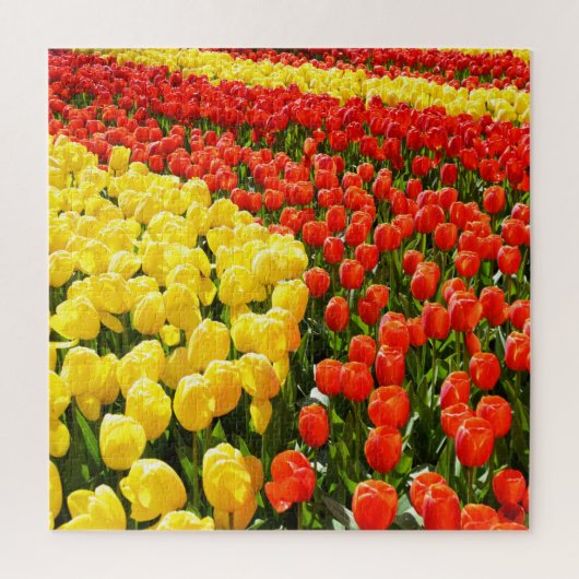 Tulpentuin Legpuzzel (Verticaal)