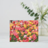 Tulpenvallei Briefkaart (Staand voorkant)