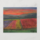 Tulpenvallei Briefkaart (Voorkant)