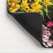 Tulpenvariëteit Muismat (Hoek)