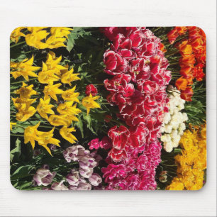 Tulpenvariëteit Muismat