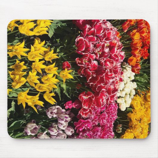 Tulpenvariëteit Muismat (Voorkant)