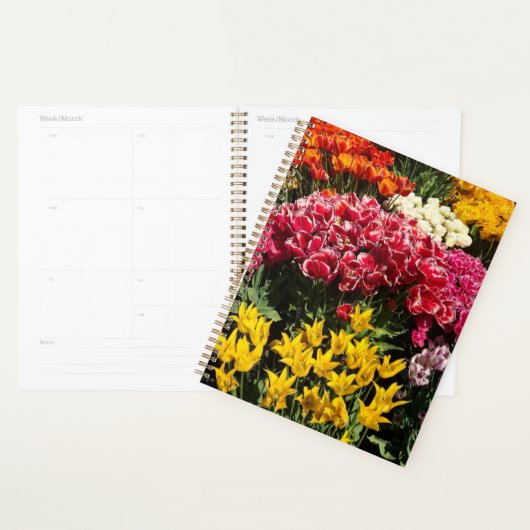 Tulpenvariëteit Planner (Display)