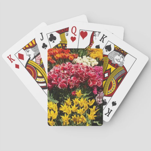 Tulpenvariëteit Pokerkaarten (Achterkant)