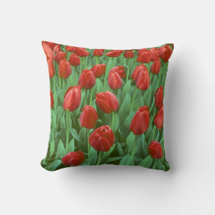 Tulpenveld bloeit in de lente. kussen