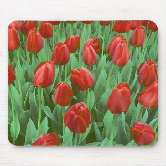 Tulpenveld bloeit in de lente. muismat (Voorkant)