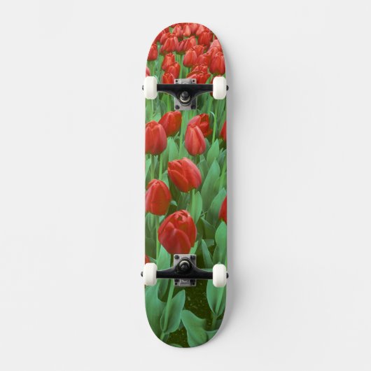 Tulpenveld bloeit in de lente. skateboard (Voorkant)