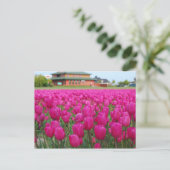 Tulpenveld Briefkaart (Staand voorkant)