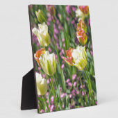 Tulpenveld Fotoplaat (Zijkant)