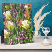 Tulpenveld Fotoplaat (Zijkant)