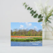 Tulpenveld in Nederland Briefkaart (Staand voorkant)
