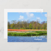 Tulpenveld in Nederland Briefkaart (Voorkant / Achterkant)