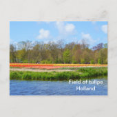 Tulpenveld in Nederland Briefkaart (Voorkant)
