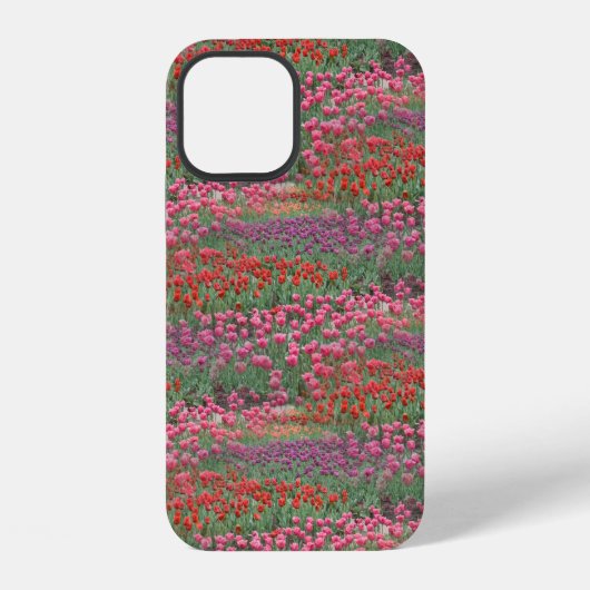 Tulpenveld iPhone Hoesje (Achterkant)