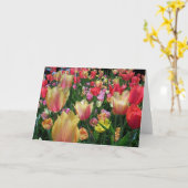 Tulpenveld kaart (Gele Bloem)