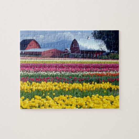 Tulpenveld Legpuzzel (Horizontaal)